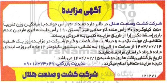 مزایده تعداد 33 راس جوانه با میانگین وزن تقریبا 550 کیلوگرم ...