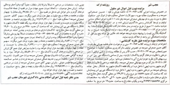 مزایده سردرختی با غلبیت درختان گردو