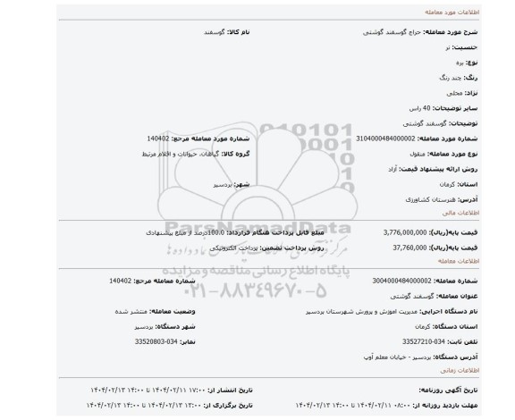 مزایده، گوسفند گوشتی