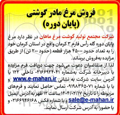 مزایده فروش مرغ مادر گوشتی 