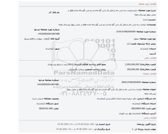 مزایده، مزایده سه راس دام شامل یک راس گاو ماده و دو راس گوساله ماده واقع در بخش بیلوار روستای زامله