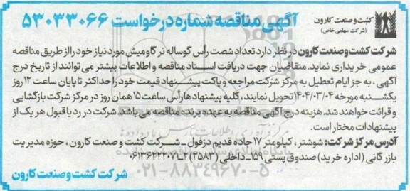 مناقصه خرید تعداد شصت راس گوساله نر گاومیش