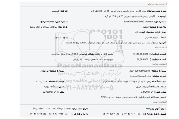 مزایده، 31راس بره نر یا ماده با وزن تقریبی 25 الی 30 کیلو گرم