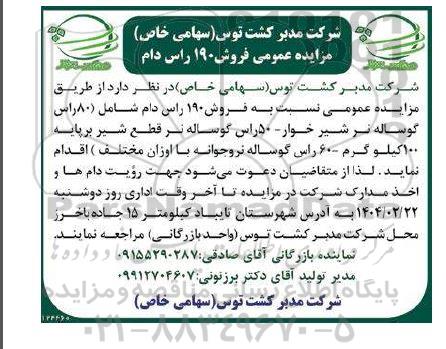مزایده فروش 190 راس دام