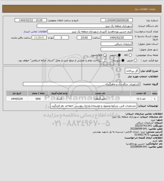 استعلام گل پیراکانتا