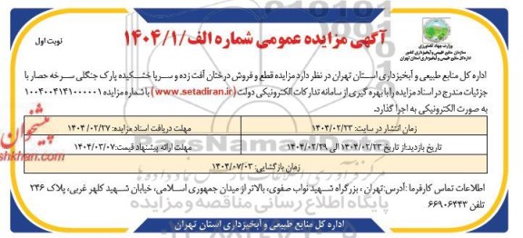 مزایده قطع و فروش درختان آفت زده و سرپا خشکیده پارک جنگلی
