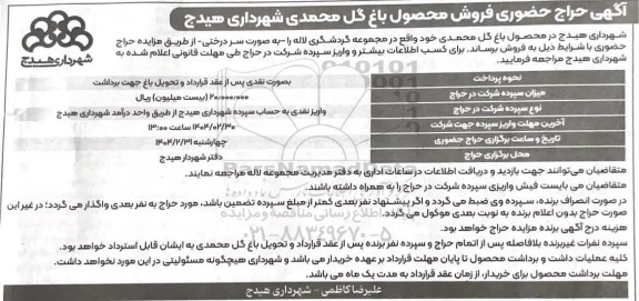آگهی حراج حضوری فروش محصول باغ گل محمدی
