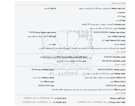 مزایده، فروش حدود 124 رأس گوسفند نر پرواری