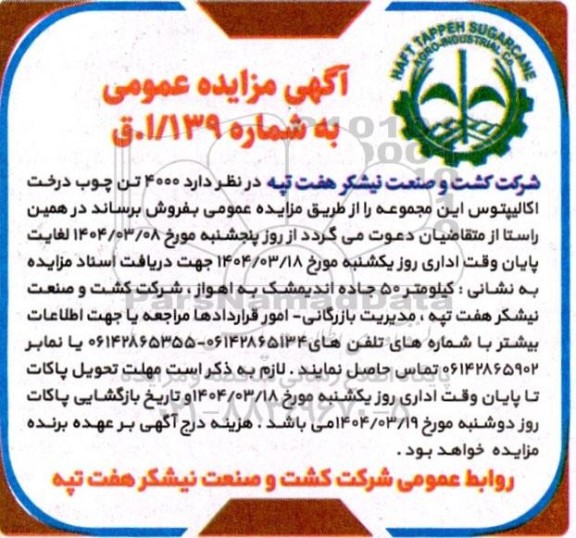 مزایده عمومی فروش مقدار تقریبی 4000 تن چوب درخت اکالیپتوس