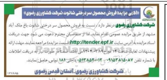 آگهی مزایده فروش محصول سر درختی شاتوت 