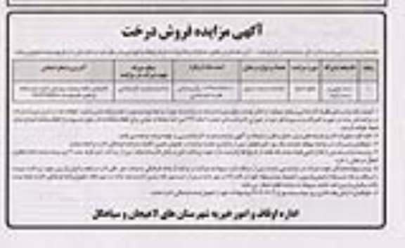 آگهی مزایده فروش درخت