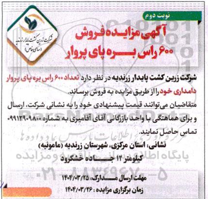 آگهی مزایده فروش 600 راس بره پای پروار- نوبت دوم