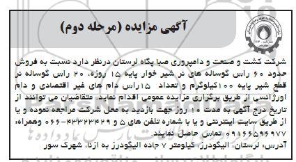 مرحله دوم مزایده فروش حدود 60 راس گوساله .....