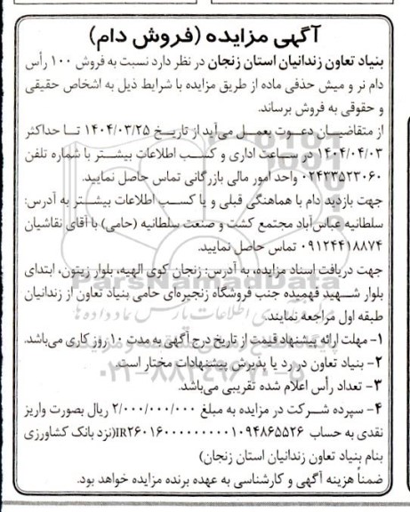 مزایده فروش 100 راس دام نر و میش حذفی ماده