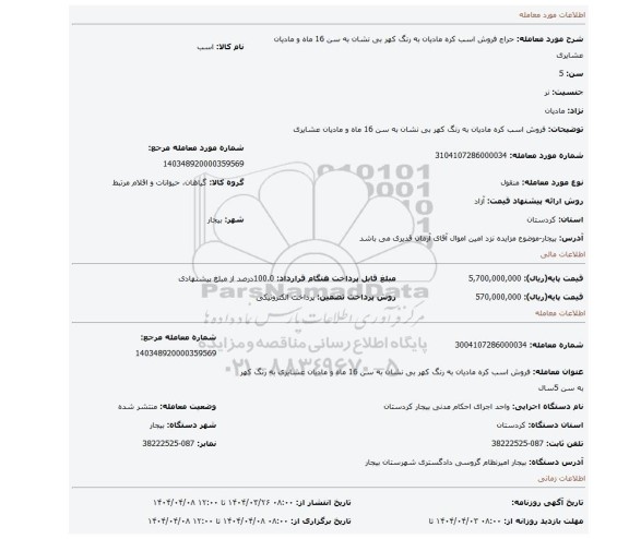 مزایده، فروش اسب کره مادیان به رنگ کهر بی نشان به سن 16 ماه و مادیان عشایری