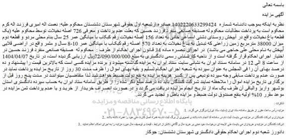 مزایده تعداد 156 اصله نخیلات رقم کبکاب با میانگین عمر 25 سال