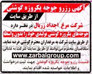 مزایده جوجه یکروزه گوشتی