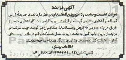 مزایده فروش تعداد حدودا 40 راس گوساله نر کشتاری، ...