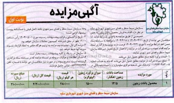 مزایده فروش محصول باغات زیتون