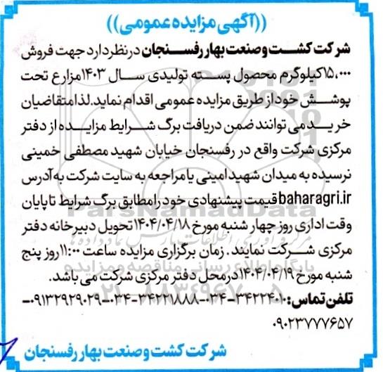 مزایده فروش  15.000 کیلوگرم محصول پسته تولیدی سال 1403 