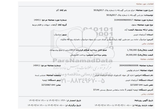 مزایده، دو راس گوساله با شماره پلاک 5017و5018