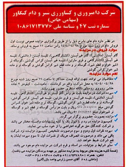 مزایده عمومی فروش دام