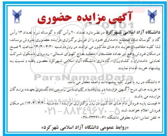 مزایده تعداد 20 رأس گاو و گوساله نر و تعداد 13 رأس گاو و گوساله ماده
