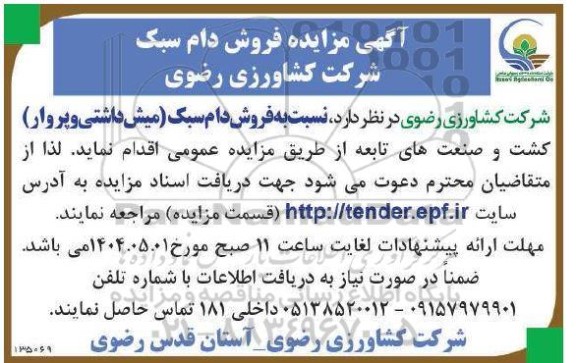 مزایده فروش دام سبک 