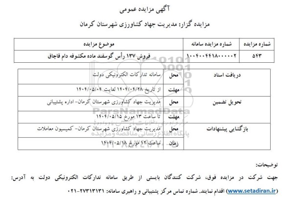 مزایده فروش 137 راس گوسفند ماده مکشوفه دام قاچاق