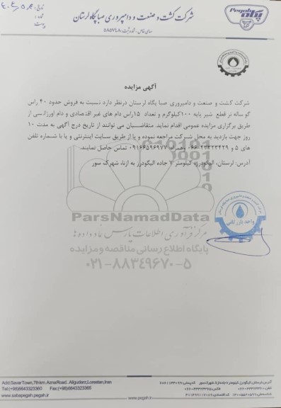 مزایده فروش حدود 40 راس گوساله نر قطع شیر...