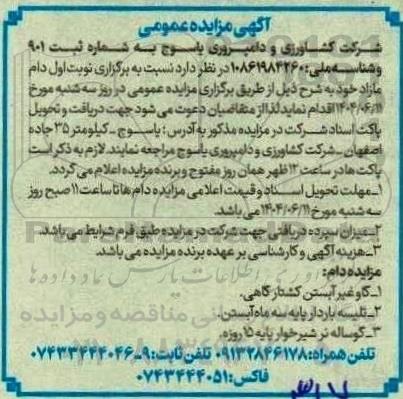 مزایده عمومی فروش دام مازاد