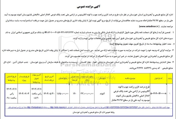 مزایده طرح درخت کاری زراعت چوب با گونه اکالیپتوس در اراضی ملی
