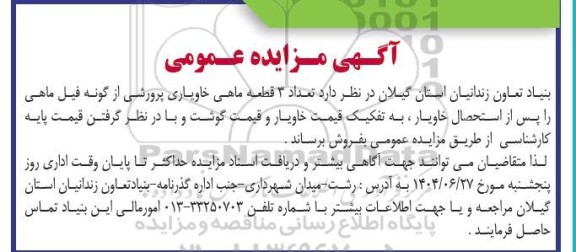مزایده تعداد 3 قطعه ماهی خاویاری پرورشی از گونه فیل ماهی 