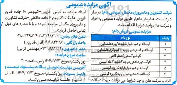 مزایده فروش دام مازاد 