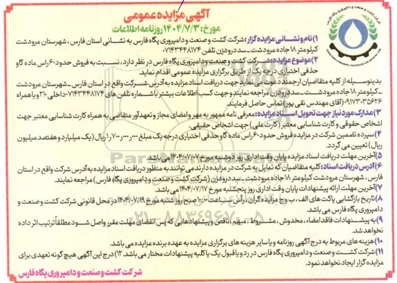 مزایده فروش حدود 60 راس ماده گاو حذفی اختیاری درجه یک 