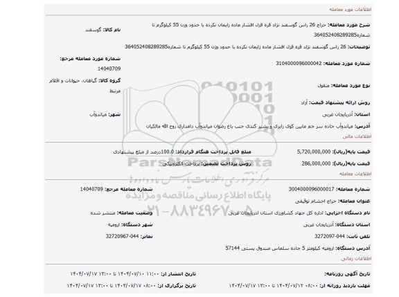 مزایده، 26 راس گوسفند نژاد قره قزل افشار ماده زایمان نکرده با حدود وزن 55 کیلوگرم تا شماره364052408289285