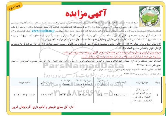 مزایده فروش درختان صنوبر کاشته شده - نوبت دوم