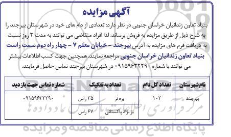 مزایده فروش تعدادی از دام های خود 