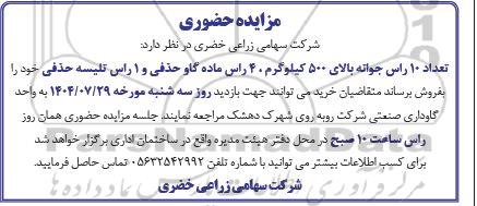 مزایده تعداد 10 راس جوانه بالای 500 کیلوگرم 40 راس ماده گاو حذفی ...