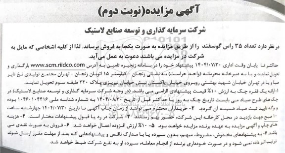 مزایده فروش 35 راس گوسفند -نوبت دوم 