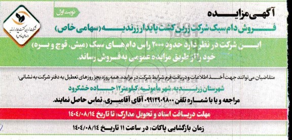 مزایده فروش دام سبک