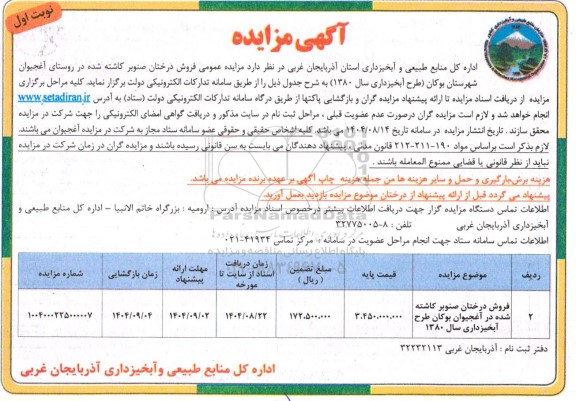 مزایده عمومی فروش درختان صنوبر کاشته شده
