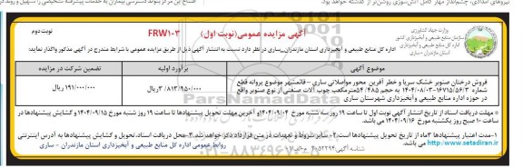 مزایده فروش درختان صنوبر خشک سرپا و خطر آفرین نوبت دوم 