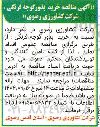 مناقصه خرید بذور گوجه فرنگی 