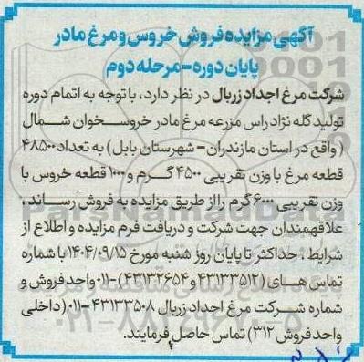 مزایده فروش خروس و مرغ مادر پایان دوره مرحله دوم