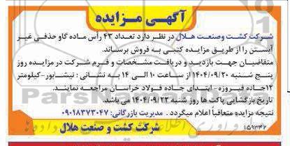 مزایده فروش تعداد 43 راس ماده گاو حذفی غیر آبستن