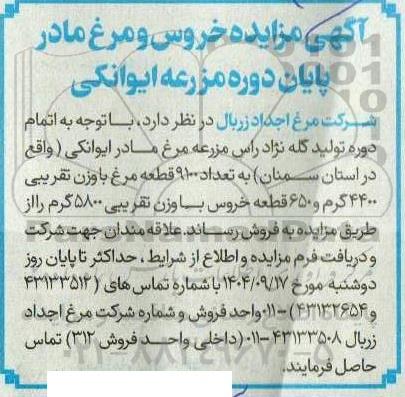 مزایده خروس و مرغ مادر پایان دوره مزرعه ایوانکی