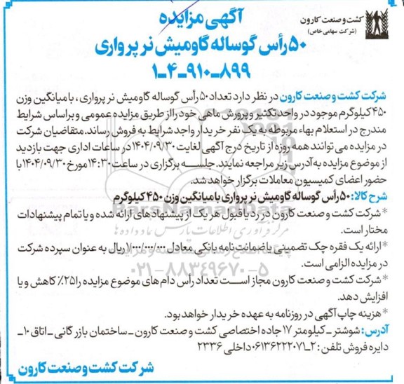 مزایده 50 رأس گوساله گاومیش نر پرواری