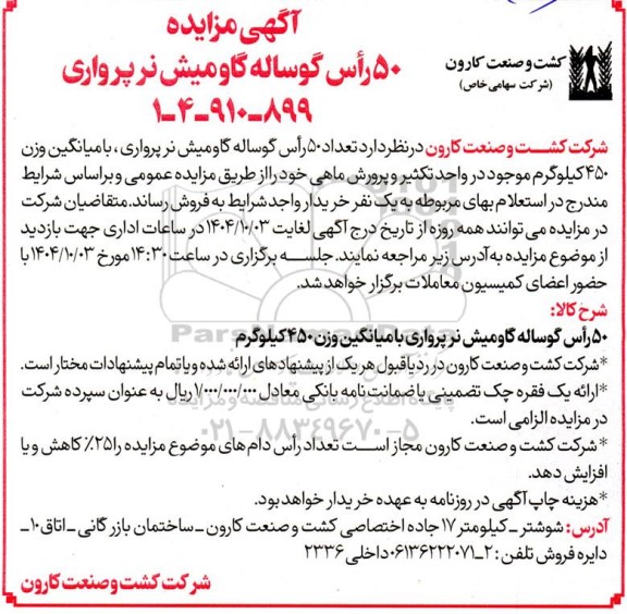 مزایده 50 رأس گوساله گاومیش نر پرواری