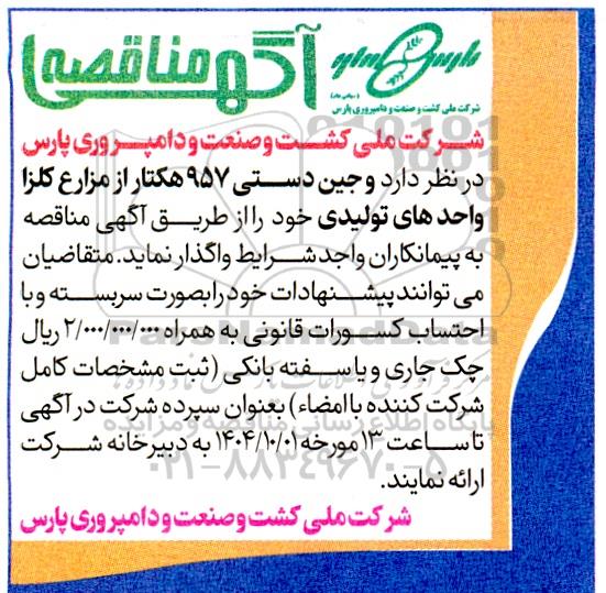 مناقصه وجین دستی 957 هکتار از مزارع کلزا